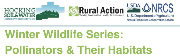 Polinators and Their Habitats